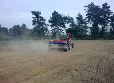 ELS & HLS Pollen and Nectar Seeding