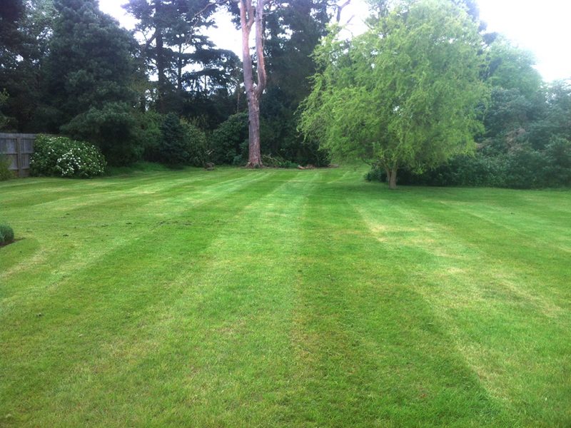 Freshly Mown Lawn